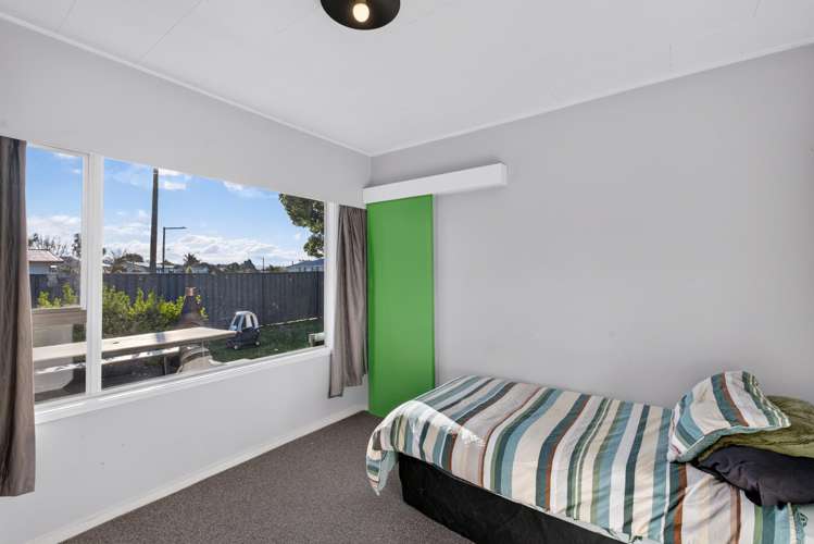 1 Arney Street Tamatea_11