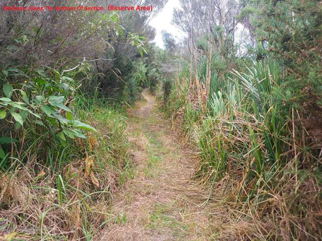 68 Banyan Road Karikari_4