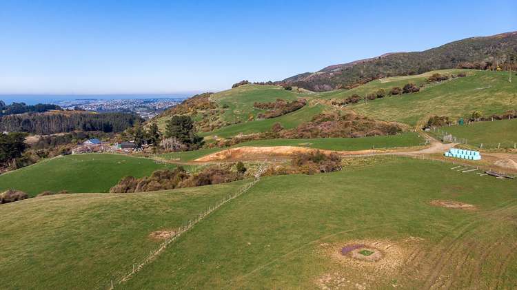 233 Leith Valley Road Leith Valley_17