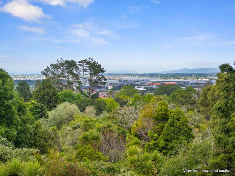 27 Gracechurch Drive Flat Bush_20