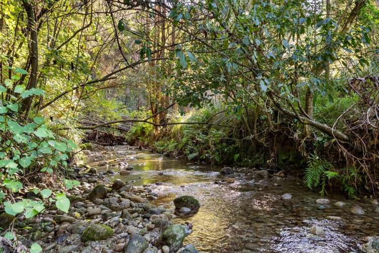 240 Cave Road Waimata_20