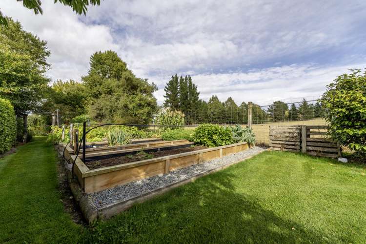 120 Cox Street Geraldine_34