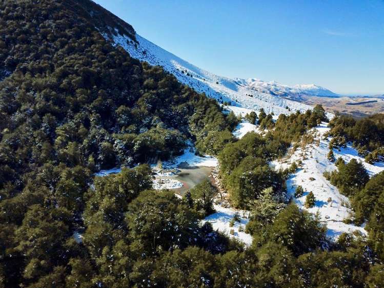 100 Mount Lyford Forest Drive Lyford_6