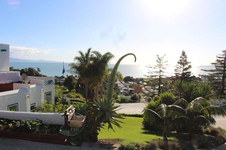 468 Thames Coast Road Te Puru_10