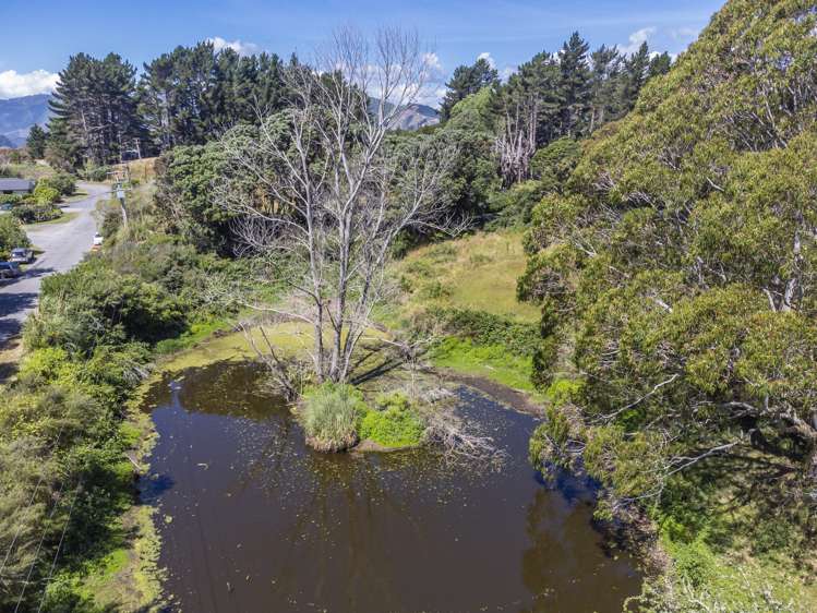 2 Tieko Street Otaihanga_10