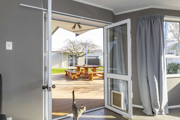 60 Harris Street Pleasant Point_4