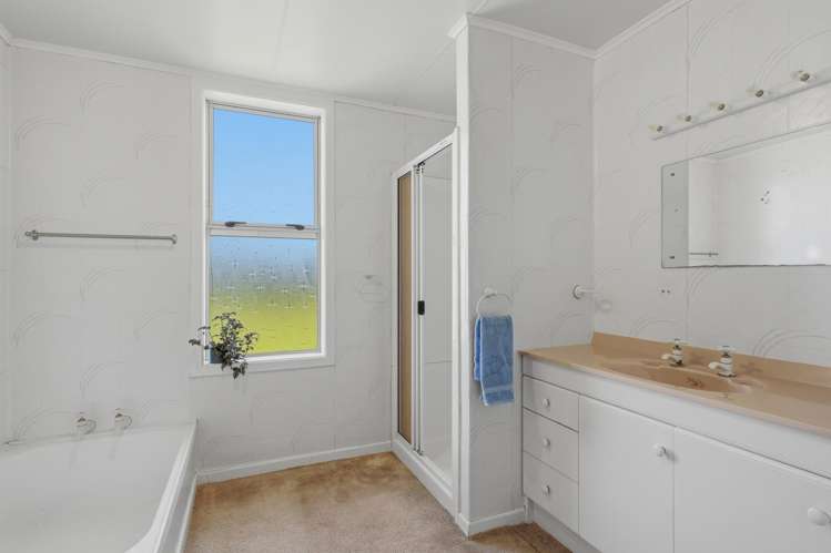 49 Roslyn Road Roslyn Bush_22