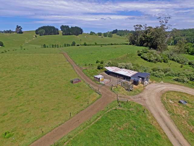 31 Ludbrook Road Pakaraka_3