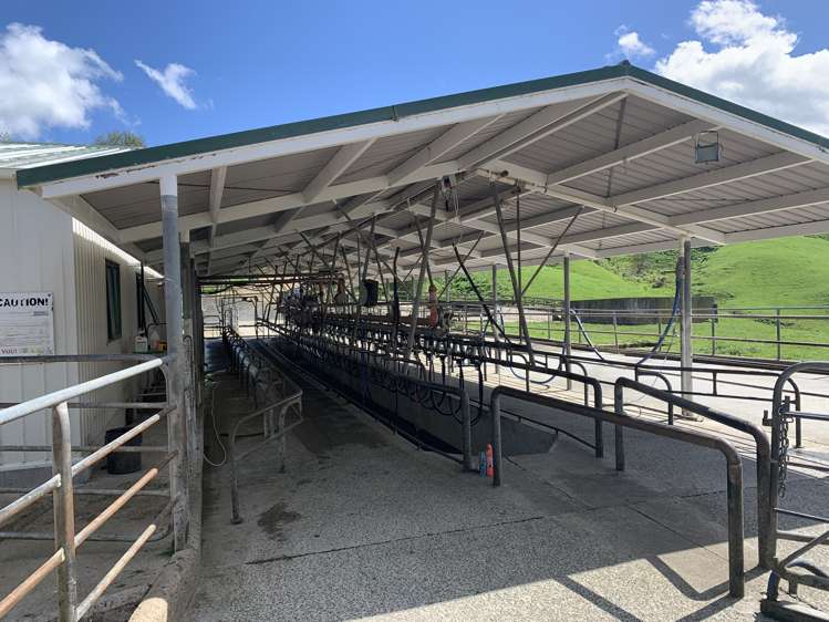 254 State Highway 1 Hauraki Surrounds_18