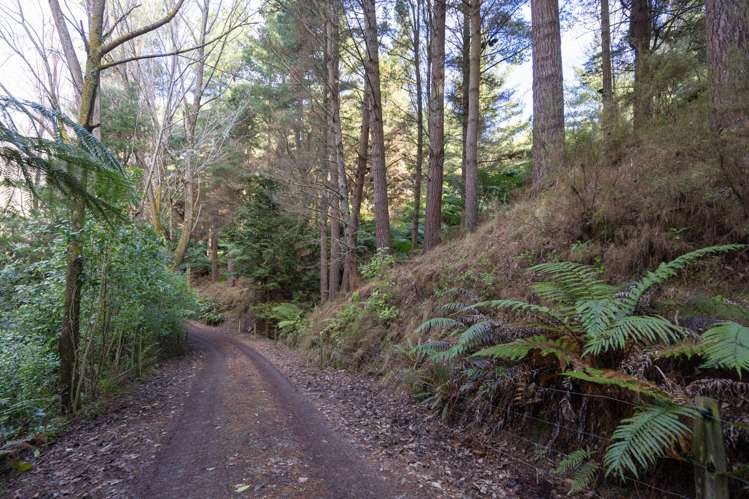 No 1 Line Pohangina_13