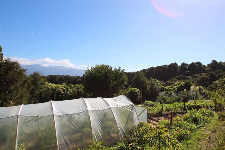 83 Upper Rocklands Road Kahurangi National Park_17