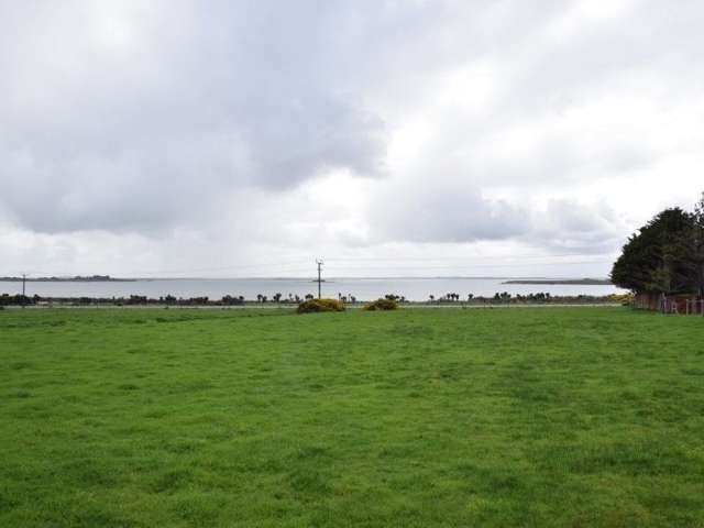 2401 Bluff Highway Bluff_4