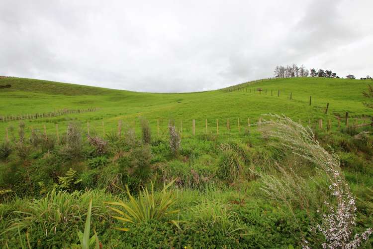 Lot 4 State Highway 1 Kaitaia_3