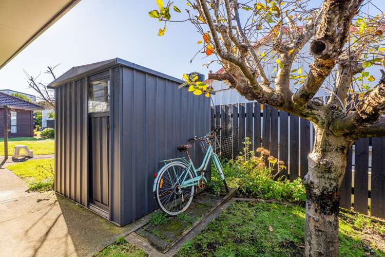 16b Albert Street Whitianga_24