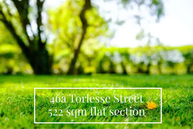 46A Torlesse Street_0