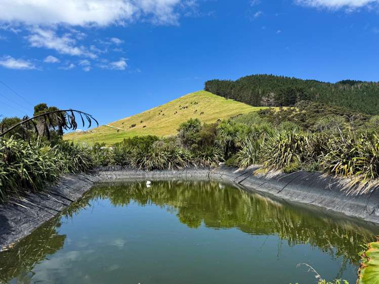 100 Robinson Road Whangarei Heads_25