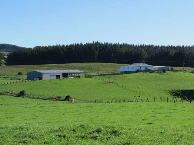 2408 Tokanui Gorge Road Tokanui_1