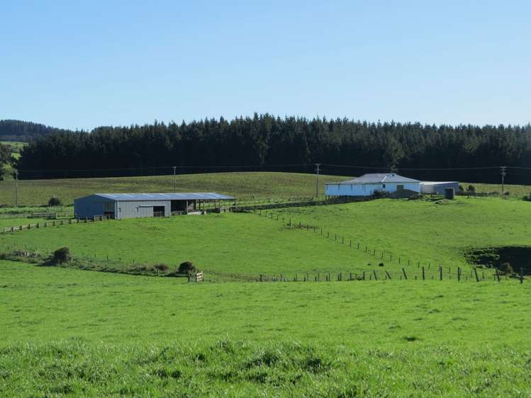 2408 Tokanui Gorge Road Tokanui_1