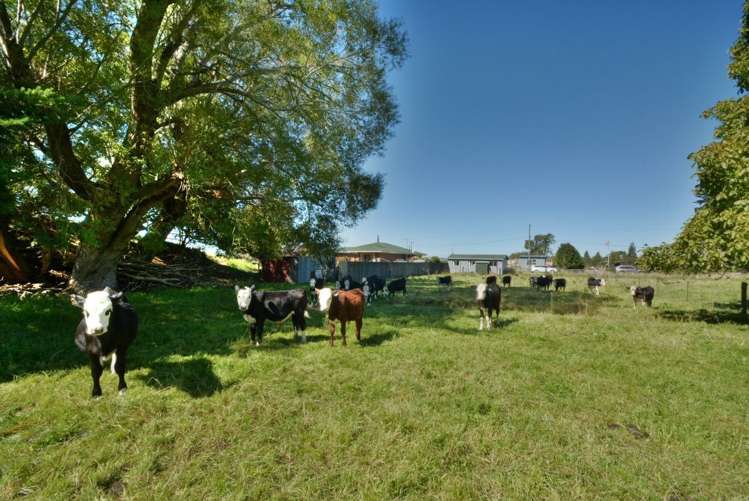 6 Melrose Street Roslyn_23