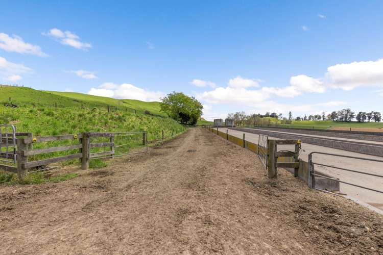 58 Nicholson Road Piarere_13