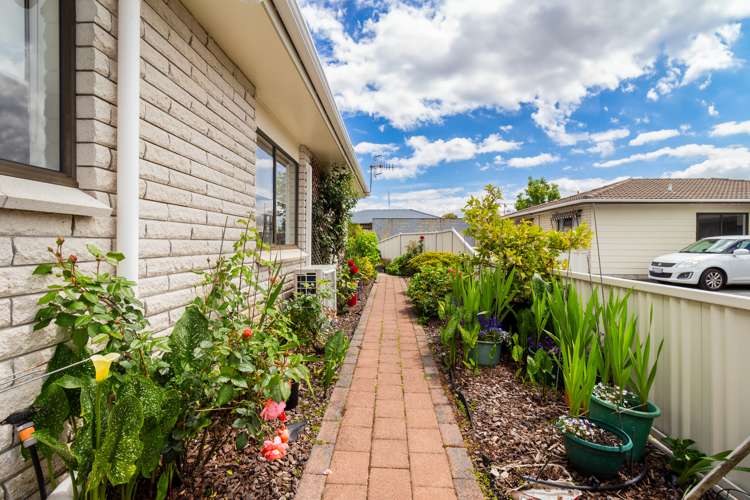 25a Larch Street Victoria_14