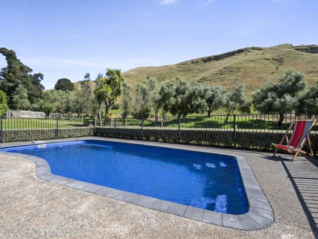 1746 Raukawa Road Central Hawkes Bay Coastal_2