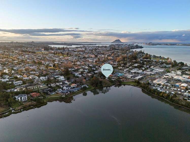 20a Scantlebury Street Tauranga South_13