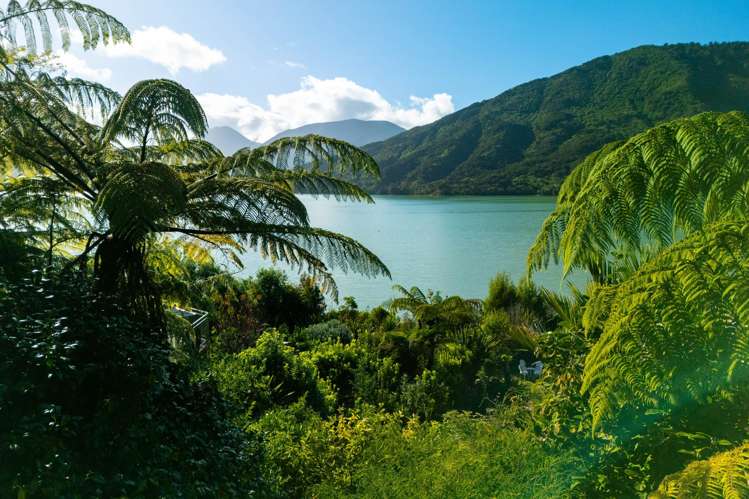 683 Queen Charlotte Drive Havelock_22