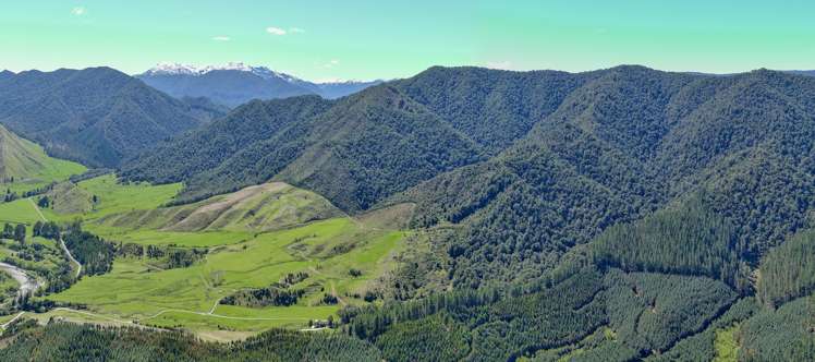 Owen Valley East Road Tasman_7