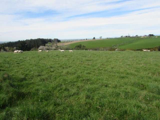 49 Downs Road Geraldine_1