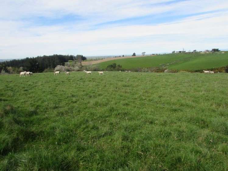 49 Downs Road Geraldine_1