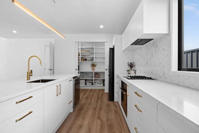 29 Wai Whatu Street Meeanee_2