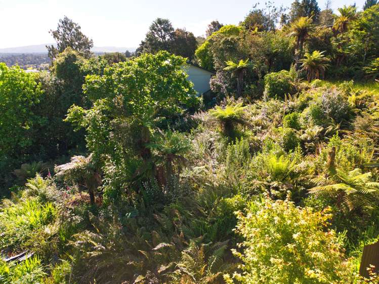 2166 Arnold Valley Road Moana_28