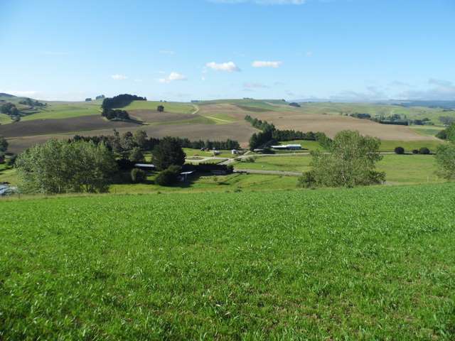 Tokarahi Downs, Tokarahi-Duntroon Rd Tokarahi_1