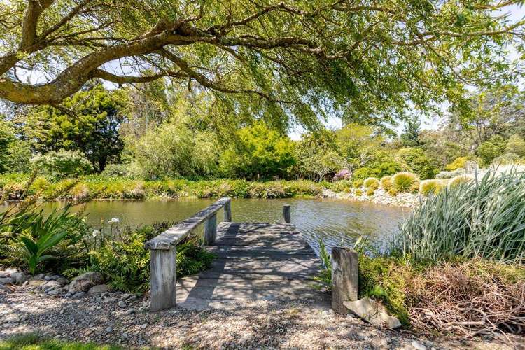 119 Central Mangaone Road Eketahuna_26