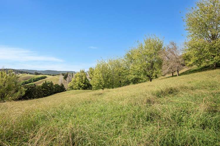 Kirikopuni Road Parakao_10