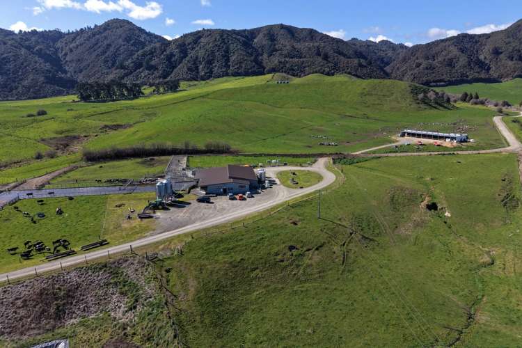283 Minginui Road Galatea_9