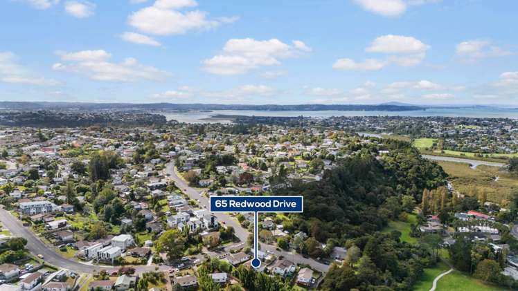 65 Redwood Drive Massey_22