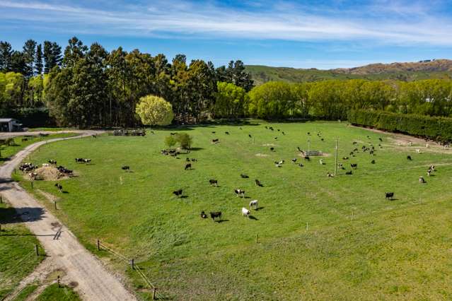 558 Leader Road West Waiau_4