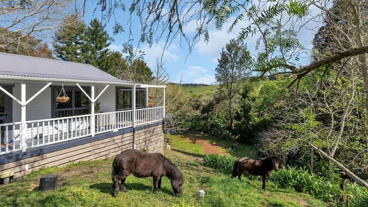 356 Old Bay Road Oromahoe_25