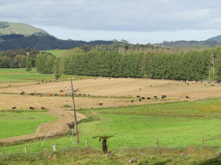 353 Wilson Road Pakotai_11