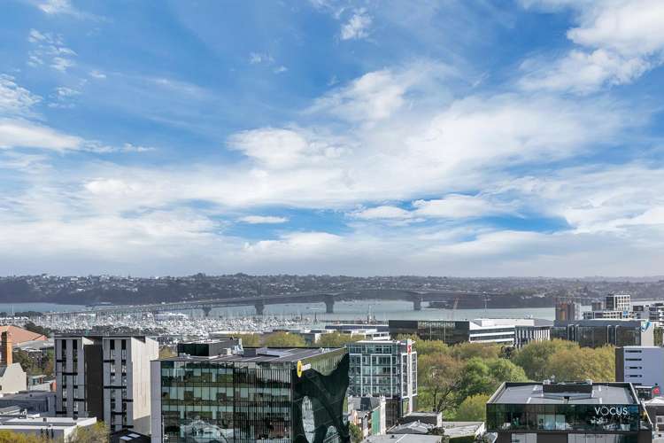 147 Nelson Street_5