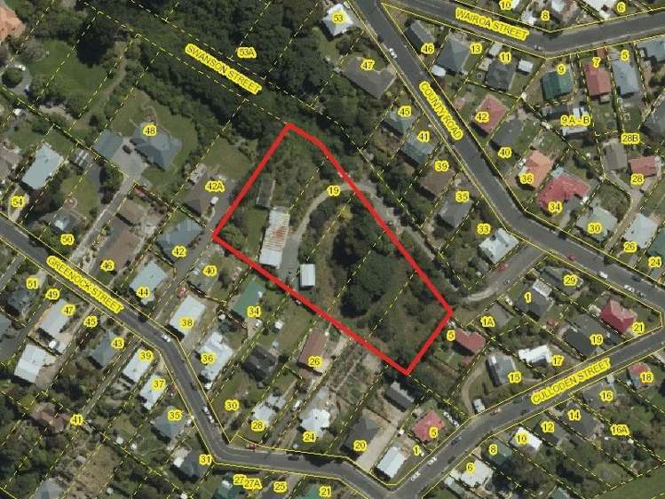 19 Swanson Street Kaikorai_19