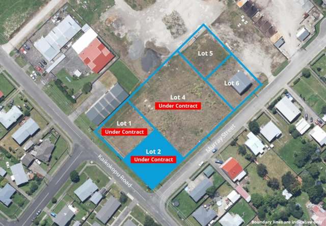 1006sqm Corner Parcel of Industrial Land For Sale