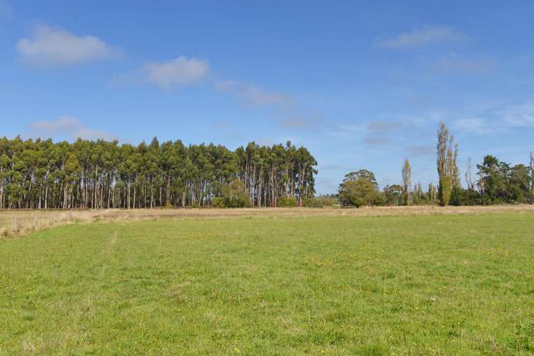 184 Jacksons Road Ohoka_3