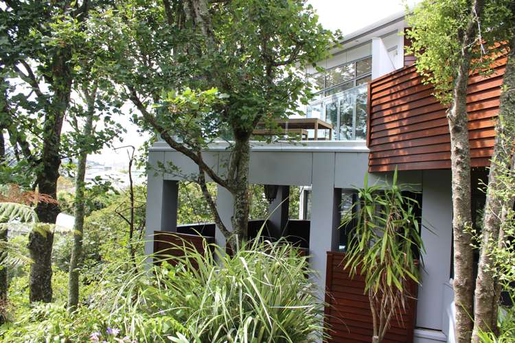 33 Weld Street Wadestown_6