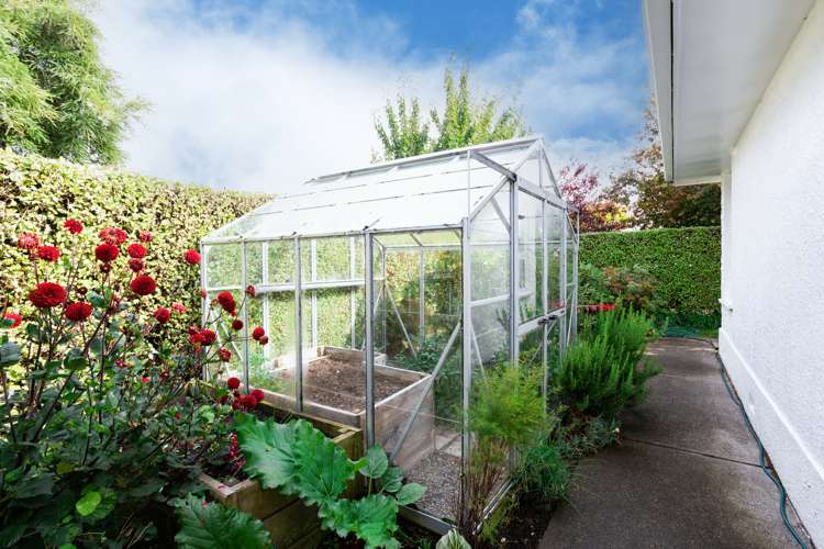 90 Abbot Street Waverley_12