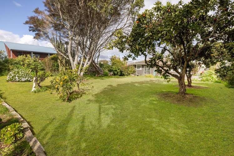 13A Links Avenue Mt Maunganui_5