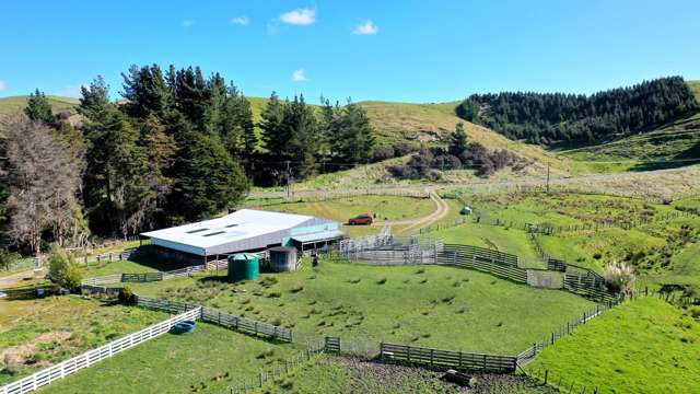 331 Waitahora Road Waitahora_3