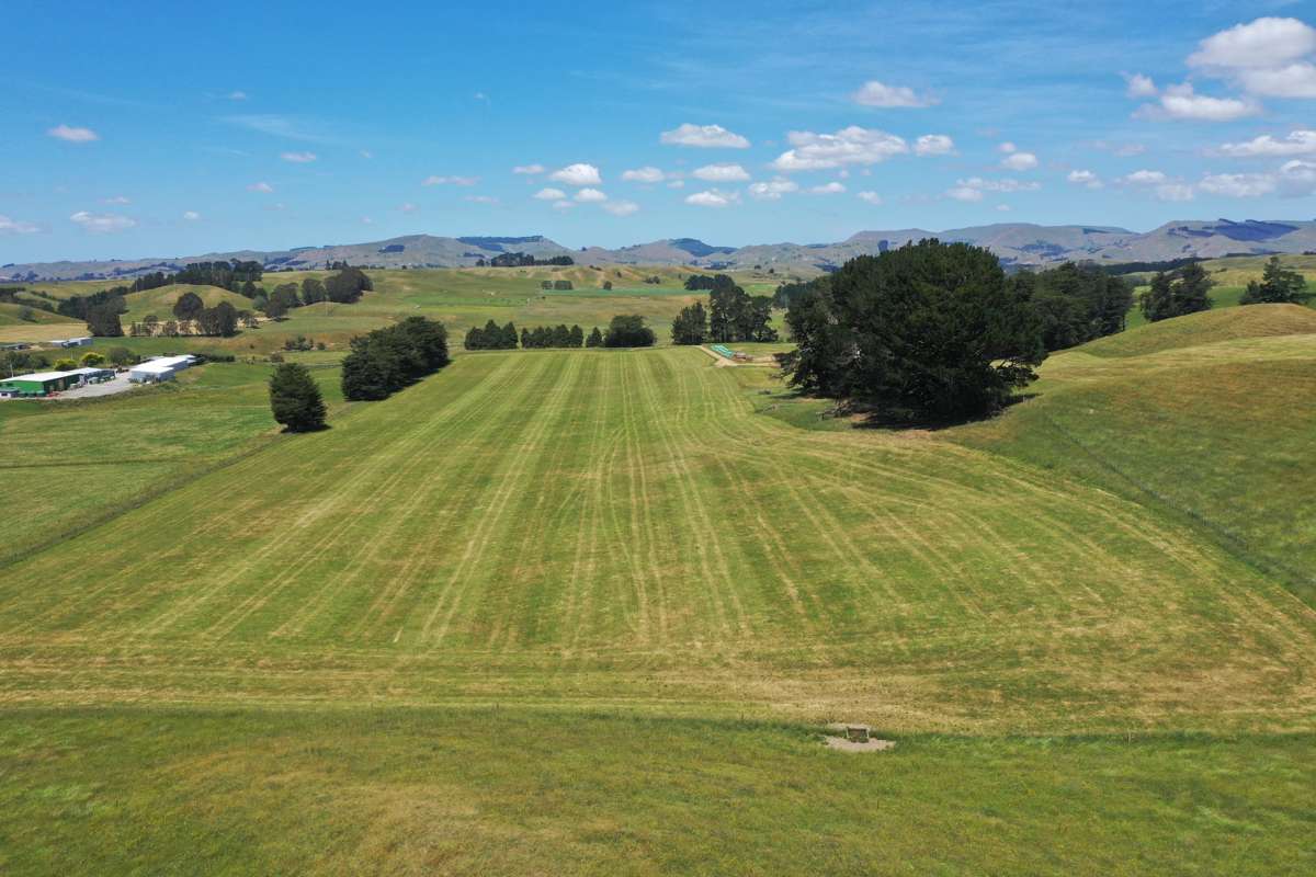 83 Norsewood Ormondville Road_5